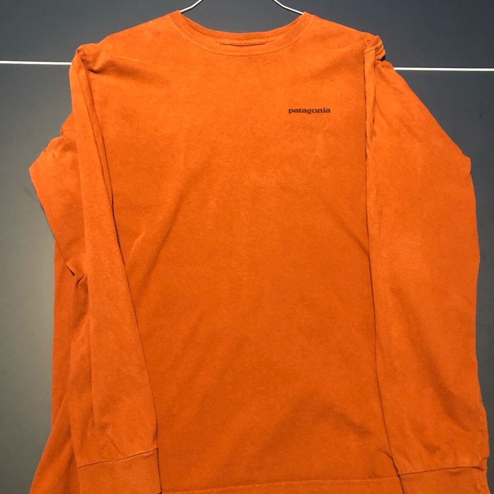 Patagonia Long Sleeve shirt